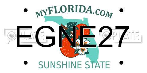 EGNE27 Florida License Plate