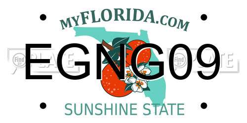 EGNG09 Florida License Plate