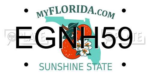 EGNH59 Florida License Plate