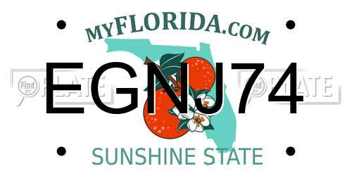 EGNJ74 Florida License Plate