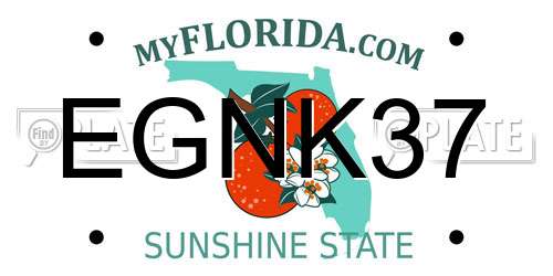 EGNK37 Florida License Plate
