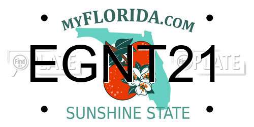 EGNT21 Florida License Plate