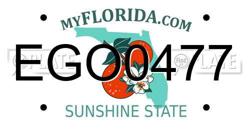 EGO0477 Florida License Plate