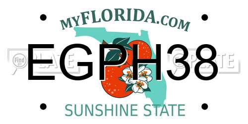 EGPH38 Florida License Plate