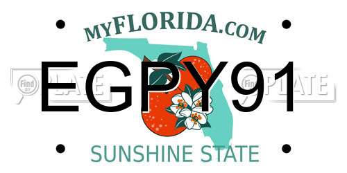 EGPY91 Florida License Plate