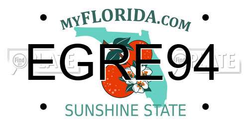 EGRE94 Florida License Plate