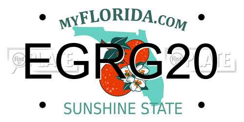 EGRG20 Florida License Plate