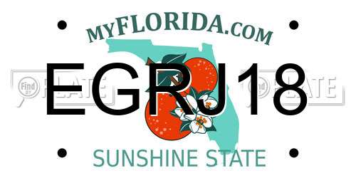 EGRJ18 Florida License Plate
