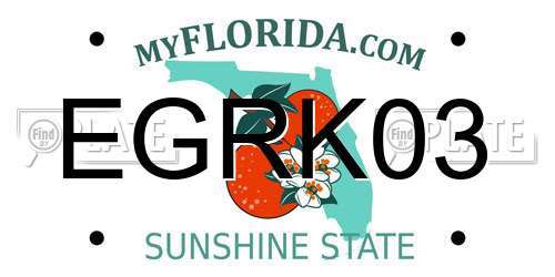 EGRK03 Florida License Plate