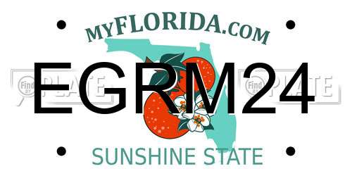 EGRM24 Florida License Plate