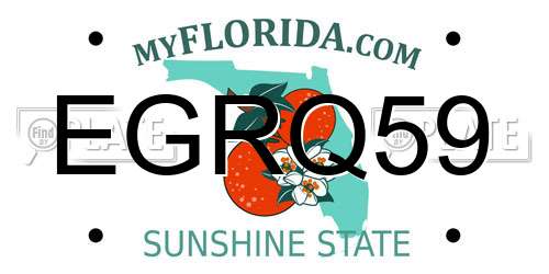 EGRQ59 Florida License Plate