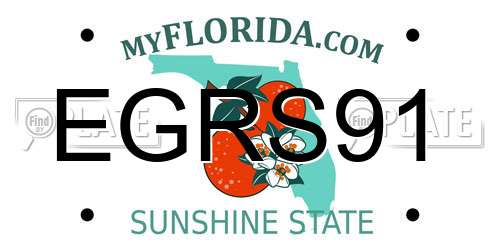 EGRS91 Florida License Plate