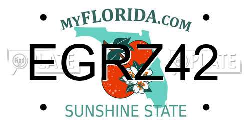 EGRZ42 Florida License Plate