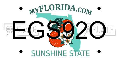 EGS92O Florida License Plate