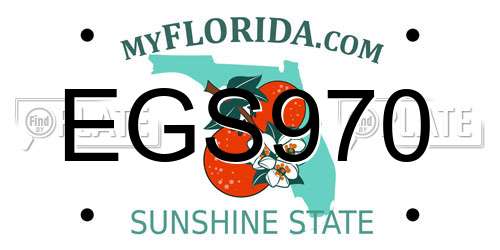 EGS970 Florida License Plate