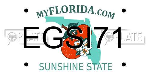 EGSI71 Florida License Plate
