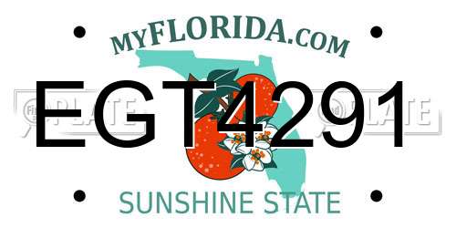 EGT4291 Florida License Plate