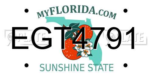 EGT4791 Florida License Plate
