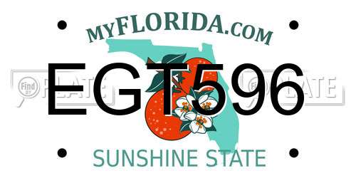 EGT596 Florida License Plate
