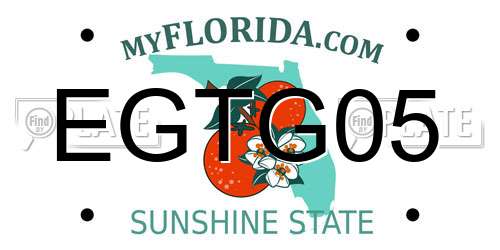 EGTG05 Florida License Plate