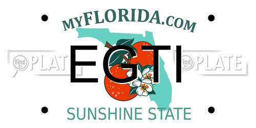 EGTI Florida License Plate