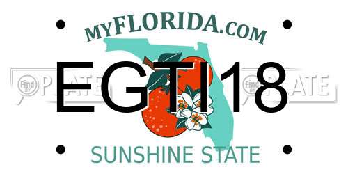 EGTI18 Florida License Plate
