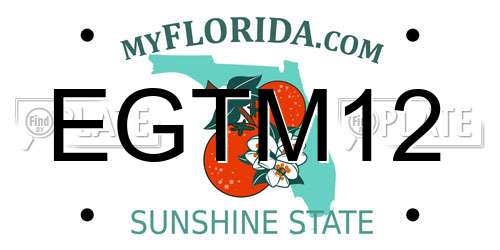 EGTM12 Florida License Plate