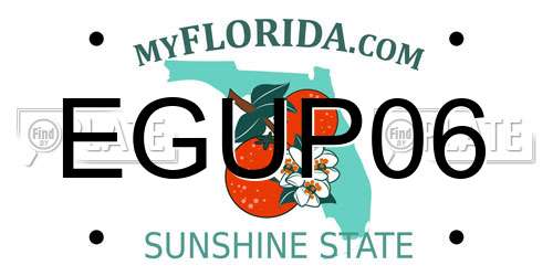 EGUP06 Florida License Plate