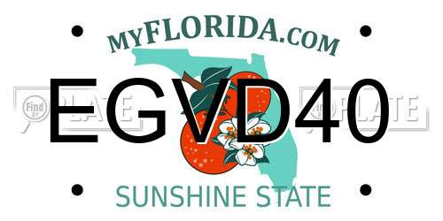 EGVD40 Florida License Plate