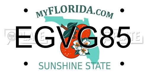 EGVG85 Florida License Plate