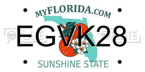 EGVK28 Florida License Plate