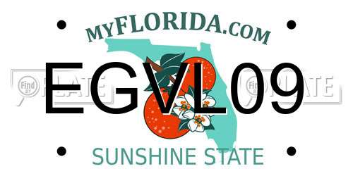 EGVL09 Florida License Plate