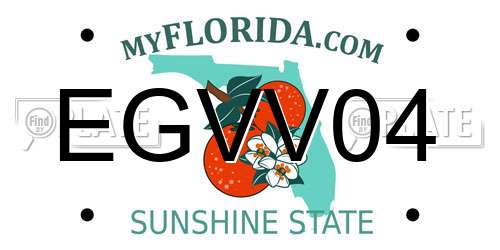 EGVV04 Florida License Plate
