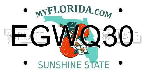 EGWQ30 Florida License Plate