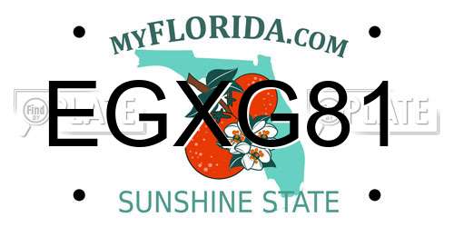 EGXG81 Florida License Plate
