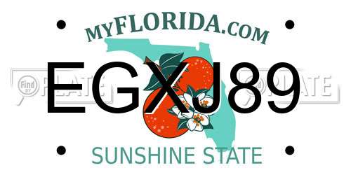EGXJ89 Florida License Plate