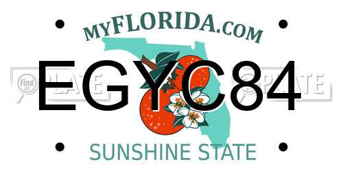 EGYC84 Florida License Plate