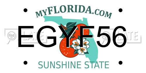 EGYF56 Florida License Plate