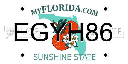 EGYH86 Florida License Plate
