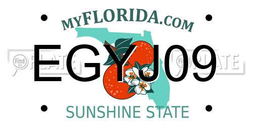 EGYJ09 Florida License Plate