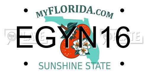 EGYN16 Florida License Plate