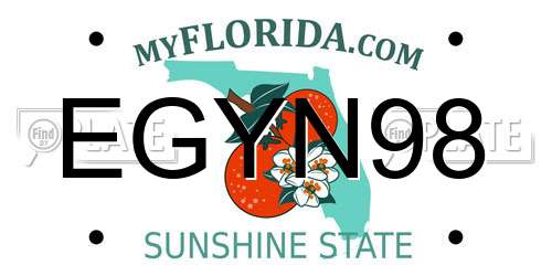 EGYN98 Florida License Plate