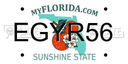 EGYR56 Florida License Plate