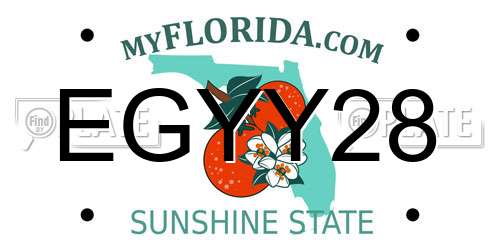 EGYY28 Florida License Plate