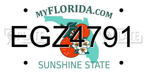 EGZ4791 Florida License Plate