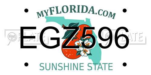 EGZ596 Florida License Plate