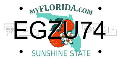 EGZU74 Florida License Plate