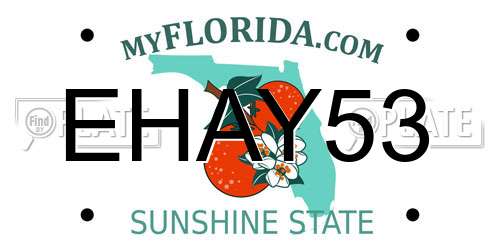 EHAY53 Florida License Plate