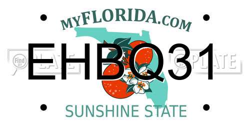 EHBQ31 Florida License Plate