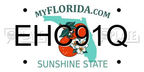 EHC91Q Florida License Plate